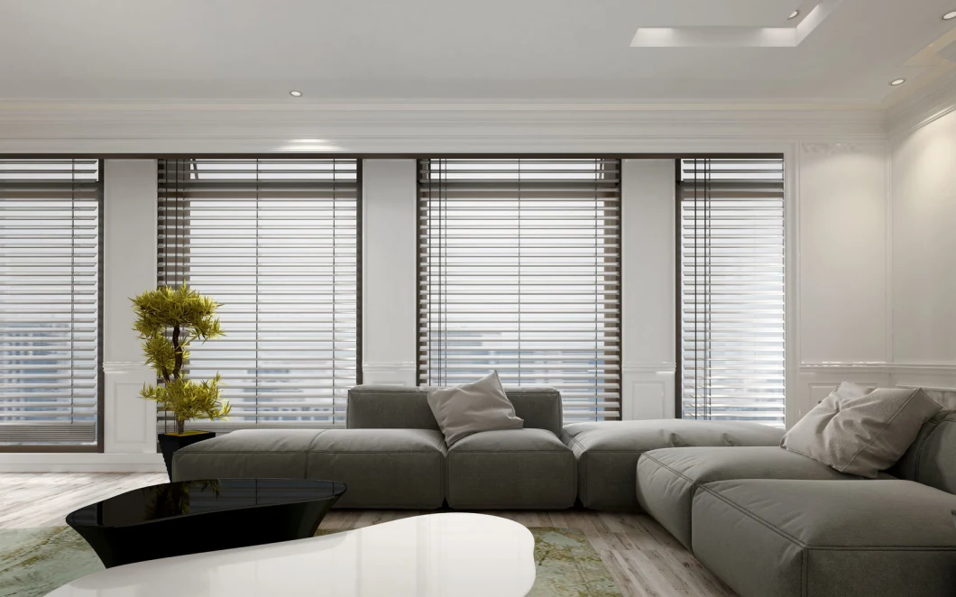 Outdoor Motorized Outside Black out Venetian Window Blinds