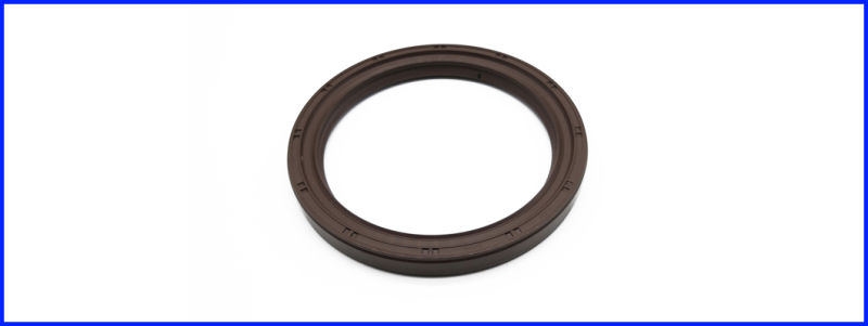Spring Loaded NBR Lips Oil Seals Htcl