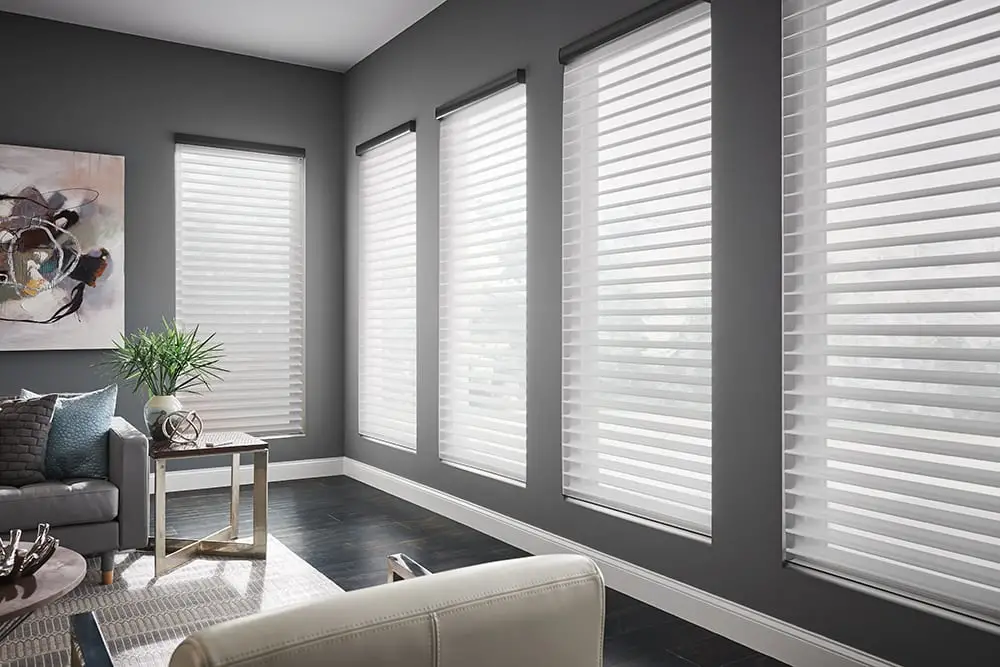 Shopping Website Design Zebra Dual Roller Blinds & Treatments for Home Decoration