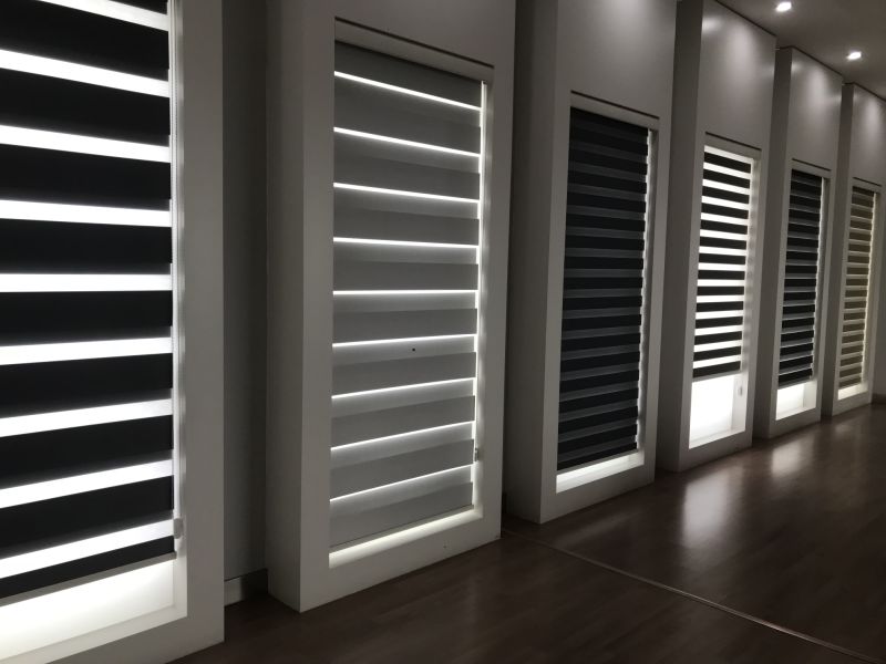 Blackout Manual Roller Shades UV Protection Fabric Roller Shades