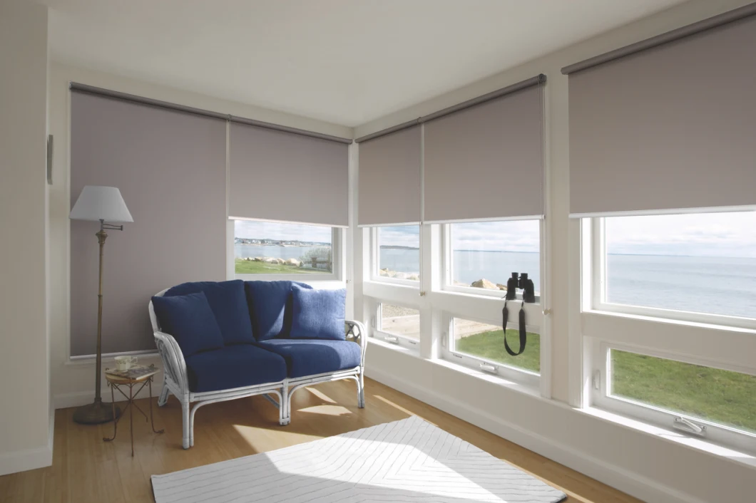 Manual Modern Style Day Night Roller Blinds & Fix Roller Shades