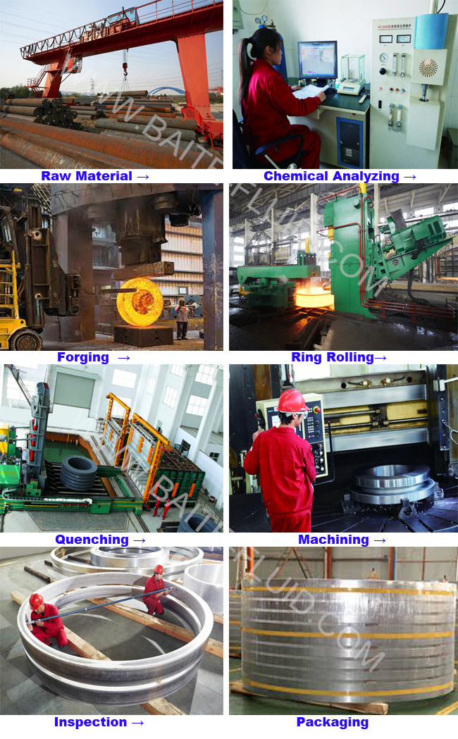 Seamless Rolled Ring Forging Ring for Bearing Slewing Ring