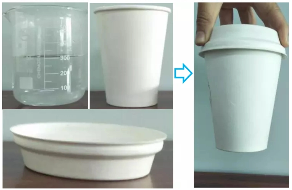 100% Biodegradable Dia 90mm Coffee Cup Lids, Disposable Cup Lids Bagasse Pulp Cup Lids