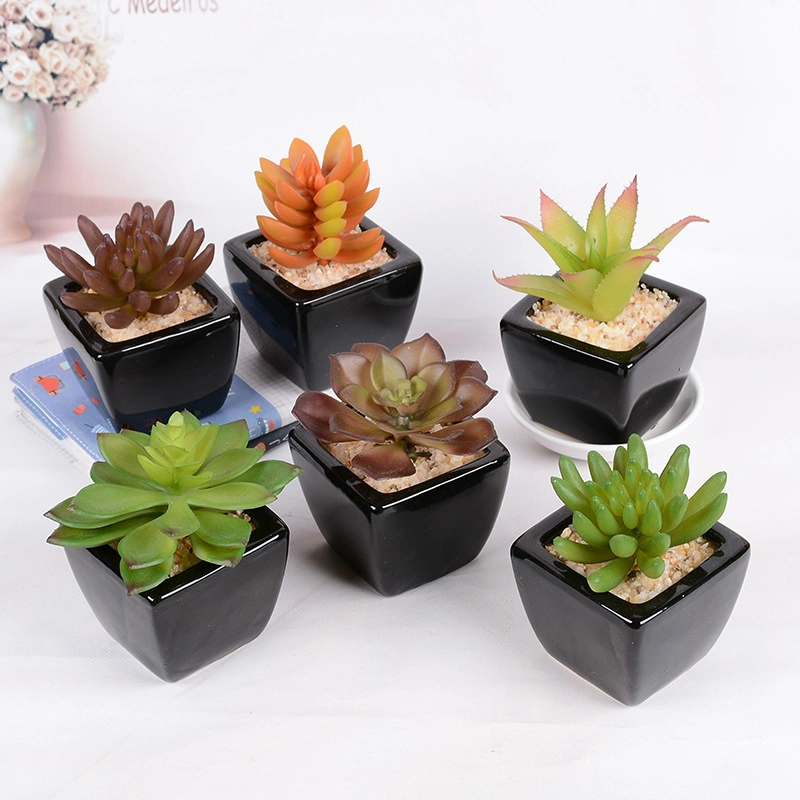 Small Ceramic Finishing Flower Pots Pattern Round Succulent Planters