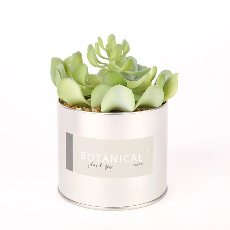 Glazed Plant Bonsai Ceramic Flower Pot