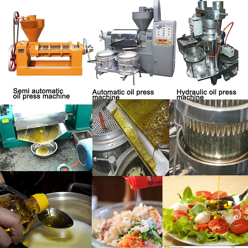 Cooking Oil Processing Machine Crude Cooking Oil Refinery Machine Small Scale Edible Oil