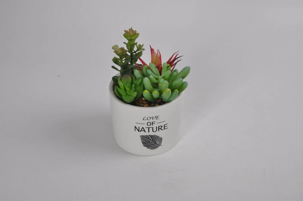 Different Style of Artifical Plant in Ceramic Pot