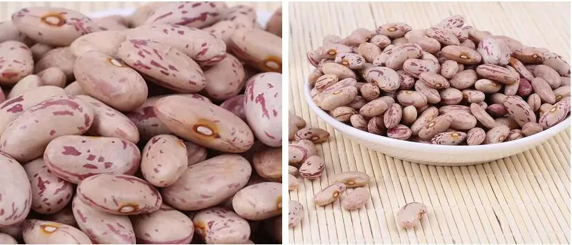 2019 Crop HPS Quality Speckled Light Speckled Kindney Beans (HeiLongJiang origin)