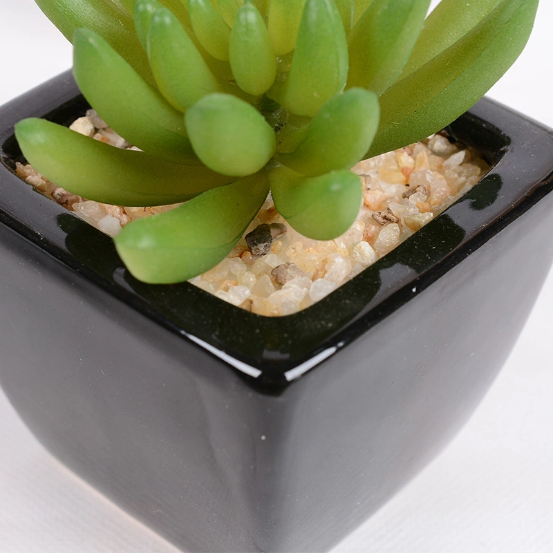 Small Ceramic Finishing Flower Pots Pattern Round Succulent Planters