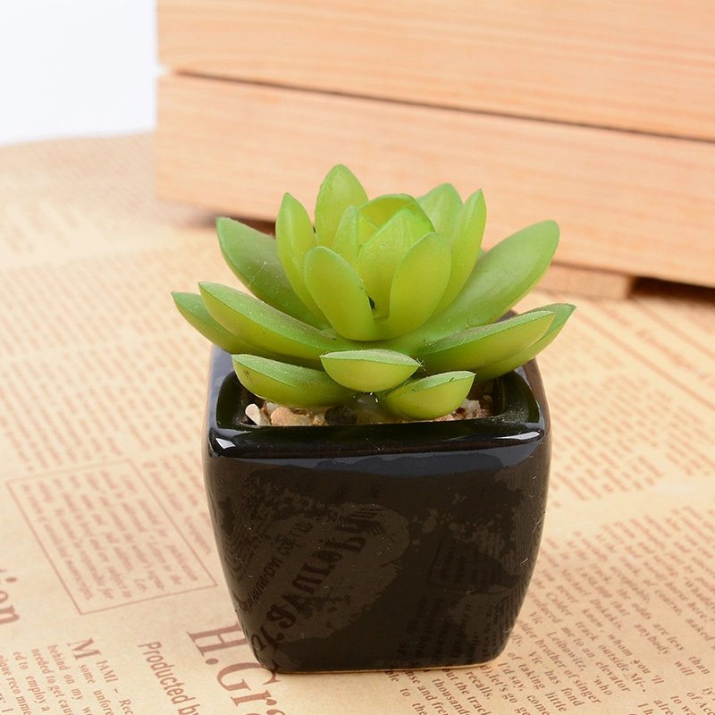 Europe Style Ceramic Glazed Cylinder Succulent Planter Flower Pot