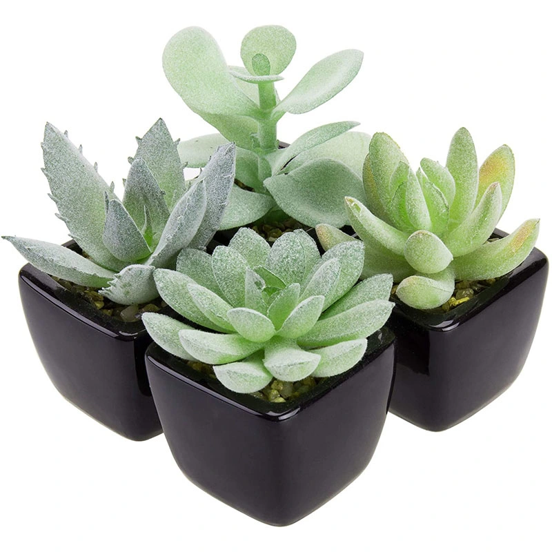 Assorted Lifelike Mini Artificial Succulent Plants in Black Cube Ceramic Pots, Set of 4
