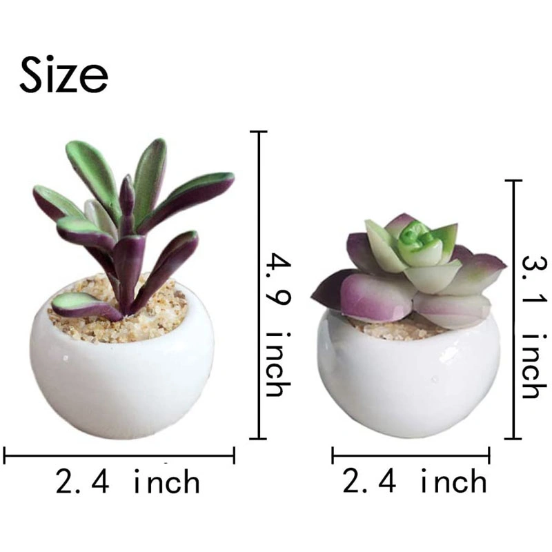 4 PCS Artificial Succulent Plants, Mini-Sized Assorted Fake Succulent Potted with White Ceramic Potted