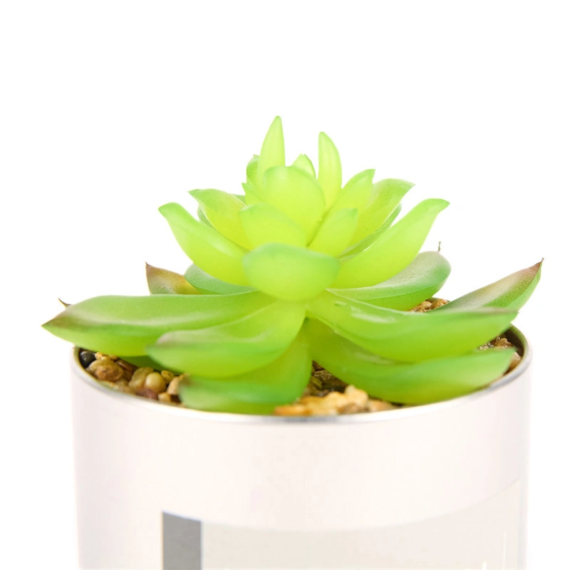 Glazed Plant Bonsai Ceramic Flower Pot