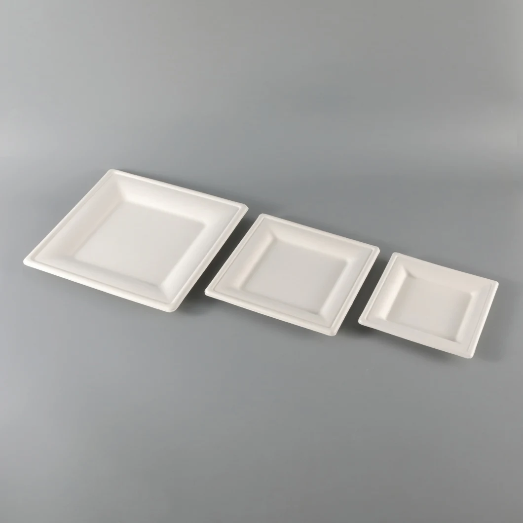 Eco-Friendly Wholesale Square White Dishes Plate for Hotel& Restaurant Square Plate Paper Plate Dinnerware