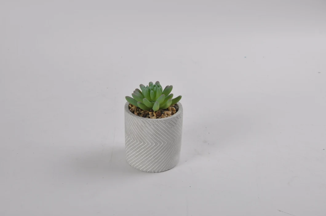 Different Styles Succulent Plant Artificial Plants with Ceramic Pot