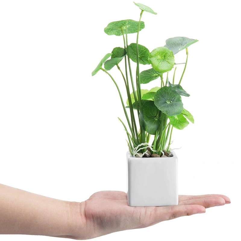 Artificial Greenery in White Square Ceramic Pots, Set of 3 Artificial Plant