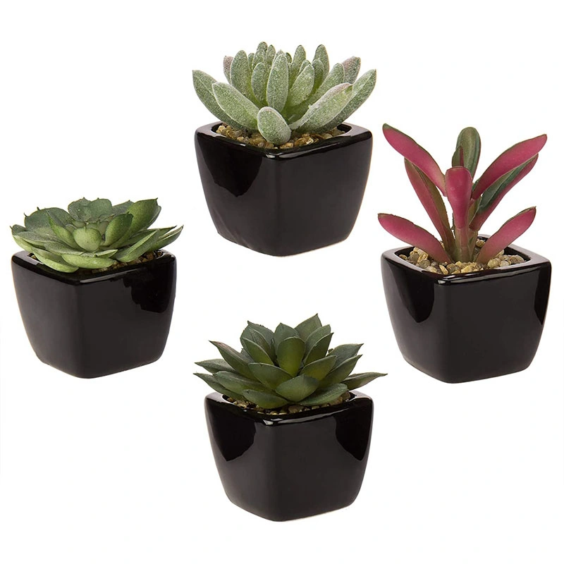 Mini Assorted Artificial Succulent Plants in Black Ceramic Pots, Set of 4