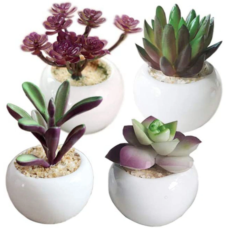 4 PCS Artificial Succulent Plants, Mini-Sized Assorted Fake Succulent Potted with White Ceramic Potted