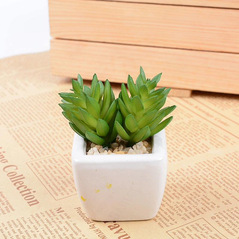 Porcelain Ceramic Wall Hanging Planter Plant Succulent Pot