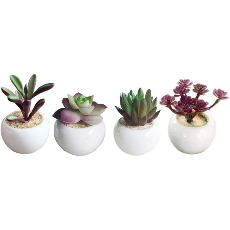 4 PCS Artificial Succulent Plants, Mini-Sized Assorted Fake Succulent Potted with White Ceramic Potted