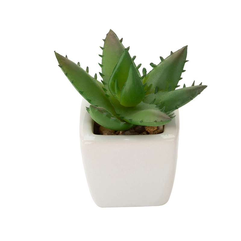 Indoor Design Brilliant White Ceramic Succulent Pots Customized Planter