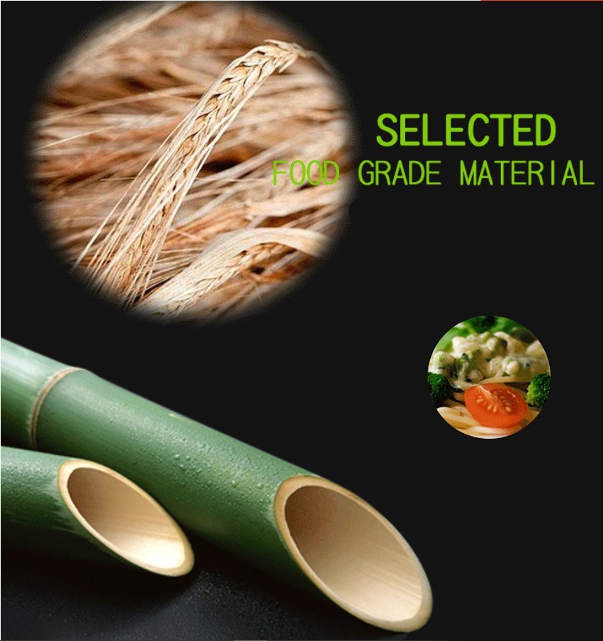 Wholesale Biodegradable Sugarcane Oval Plates Disposable Bagasse Dish Tableware Lunch Tray