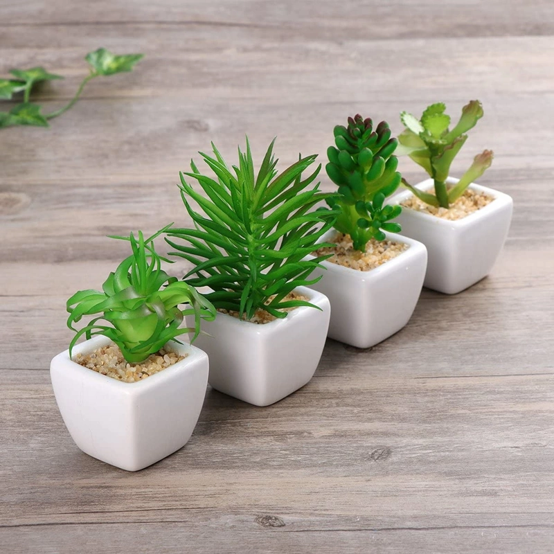 Artificial Succulent Plants Potted Fake Mini Assorted Succulents Planters Set for Decor Arrangement (White Ceramic Pots4Pack)