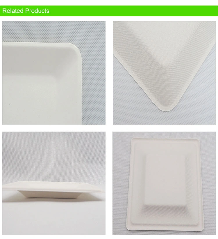 Disposable Biodegradable Square Plates Made From 100%Natural Sugarcane Fibers Compostable Eco Friendly Ceramic Dish