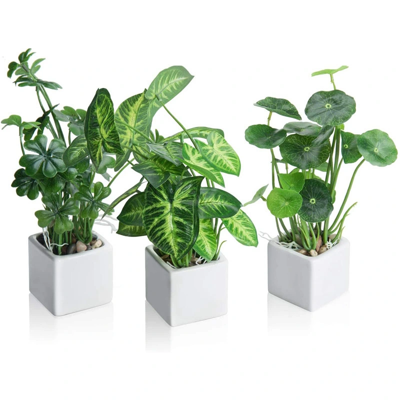 Artificial Greenery in White Square Ceramic Pots, Set of 3 Artificial Plant