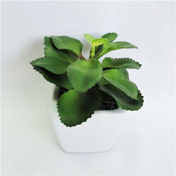 Mini Size Artiticial Succulent Plant in Ceramic Pot