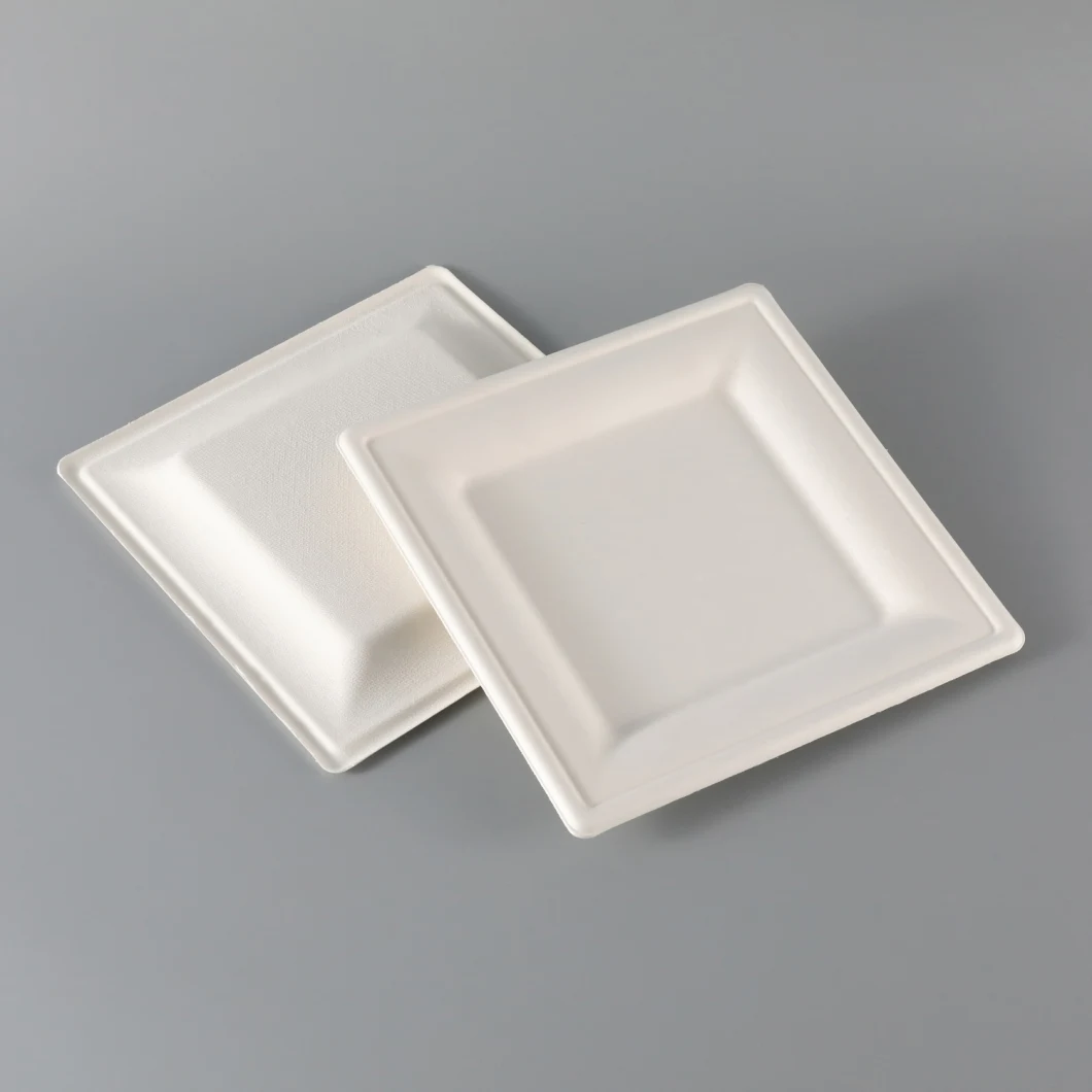 Eco-Friendly Wholesale Square White Dish for Hotel& Restaurant Square Paper Plate