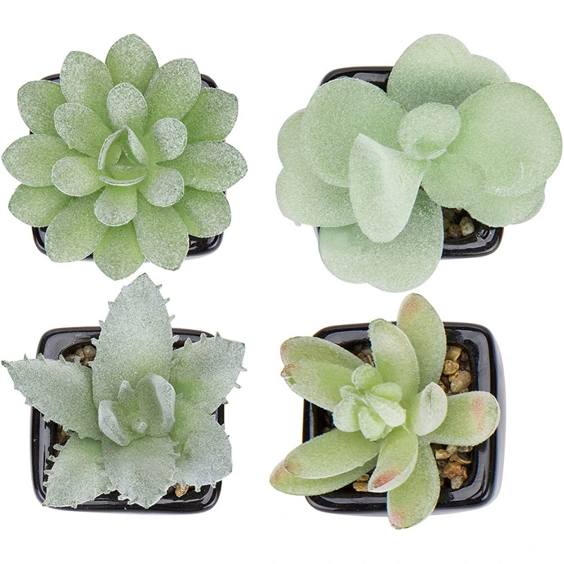 Assorted Lifelike Mini Artificial Succulent Plants in Black Cube Ceramic Pots, Set of 4