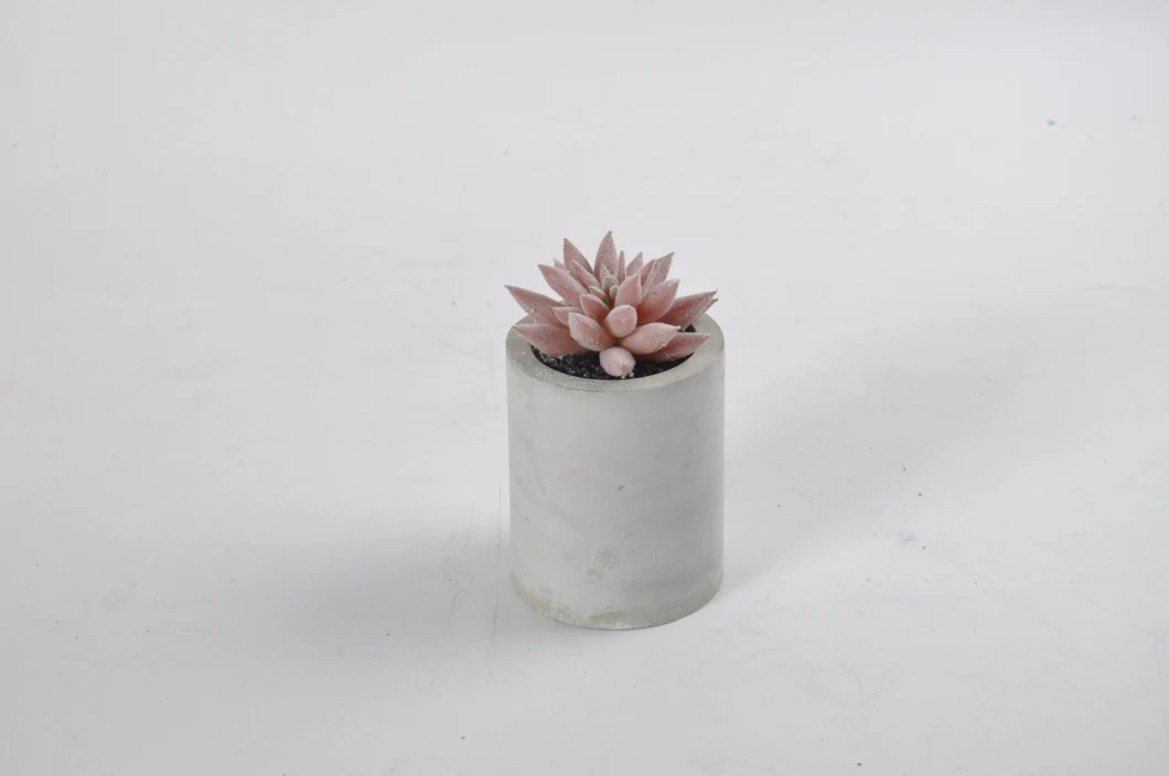 Different Styles Succulent Plant Artificial Plants with Ceramic Pot