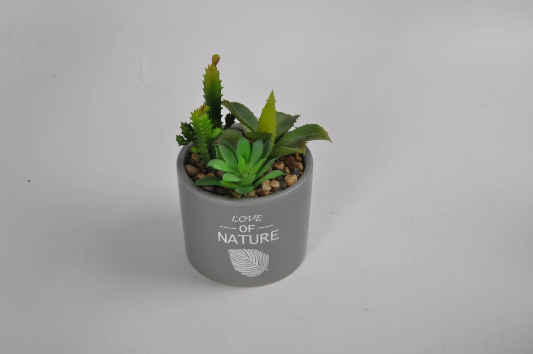 Different Style of Artifical Plant in Ceramic Pot