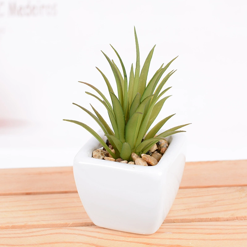 Porcelain Ceramic Wall Hanging Planter Plant Succulent Pot