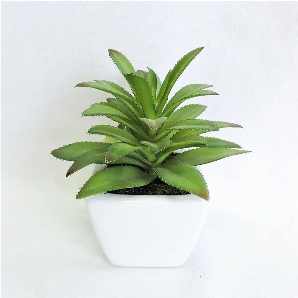Assorted Succulent Plants Artificial PVC Plant in Electroplated Ceramic Pot