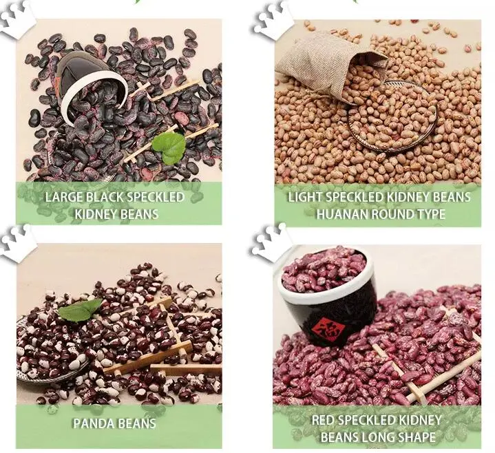 2019 Crop HPS Quality Speckled Light Speckled Kindney Beans (HeiLongJiang origin)