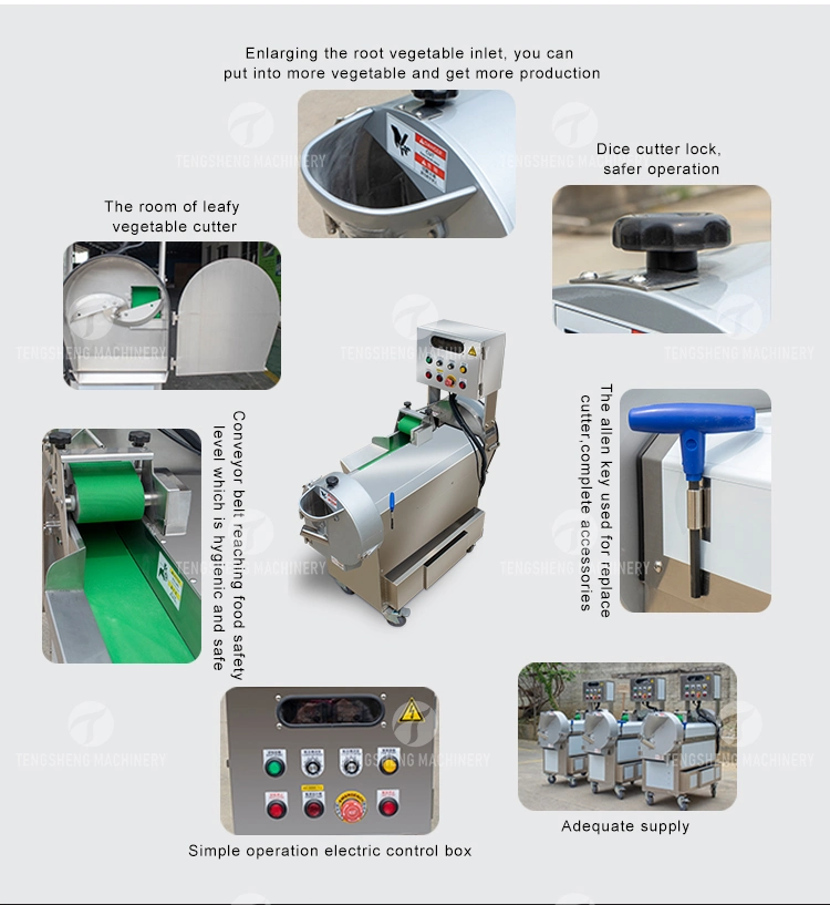 Automatic Commercial Vegetable Cutter Machine Leafy Vegetable Cutter Frequency Conversion Vegetable Cutting Machine (TS-Q118)