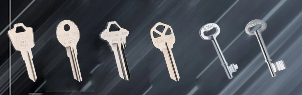 Brass/Iron/Zinc Alloy Material Blank Key with Logo Customized Used for Door