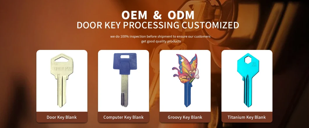 High Quality 2mm Tl3 Key Blank for Key Copy Machine