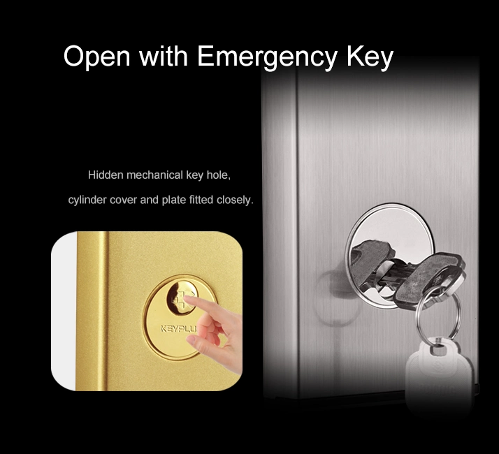 Swipe Keycard Electronic Smart Intelligent Card Key Cylinder Hotel Door Lock for Apartment