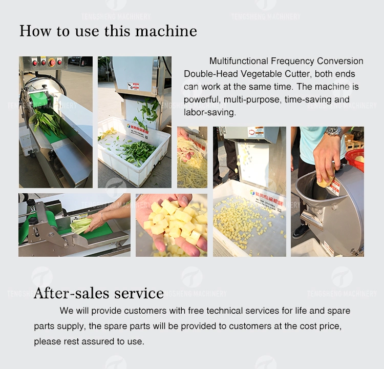 Electric Multifunction Cabbage Cutter Commercial Stainless Steel Double-End Cutting Machine (TS-Q118)
