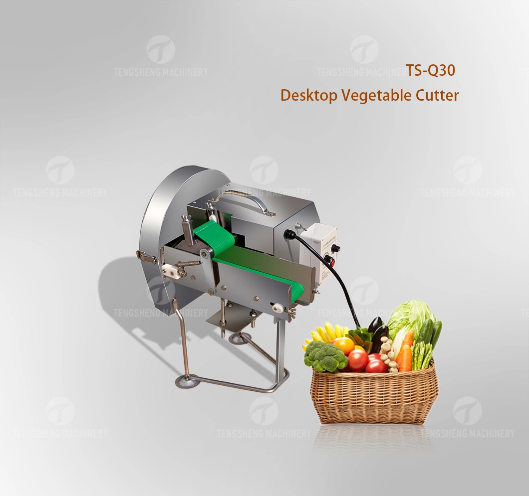 Popular Durable Good Quality Scallion Chili Pepper Coriander Cutting Shredding Machine Vegetable Cutter (TS-Q30)