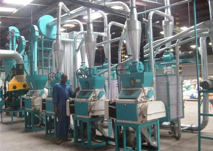Professional Turn-Key Project Maize Flour Milling Plant /Maize Starch Machine