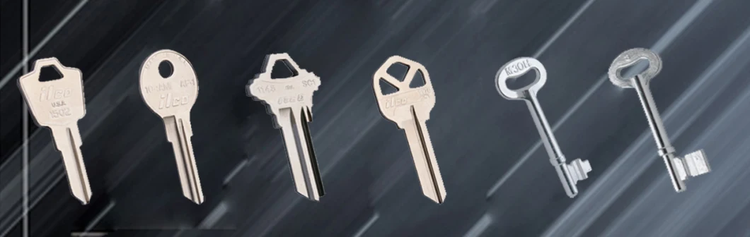 Blank Iron Key with Competitive Price Blank Key for Lock