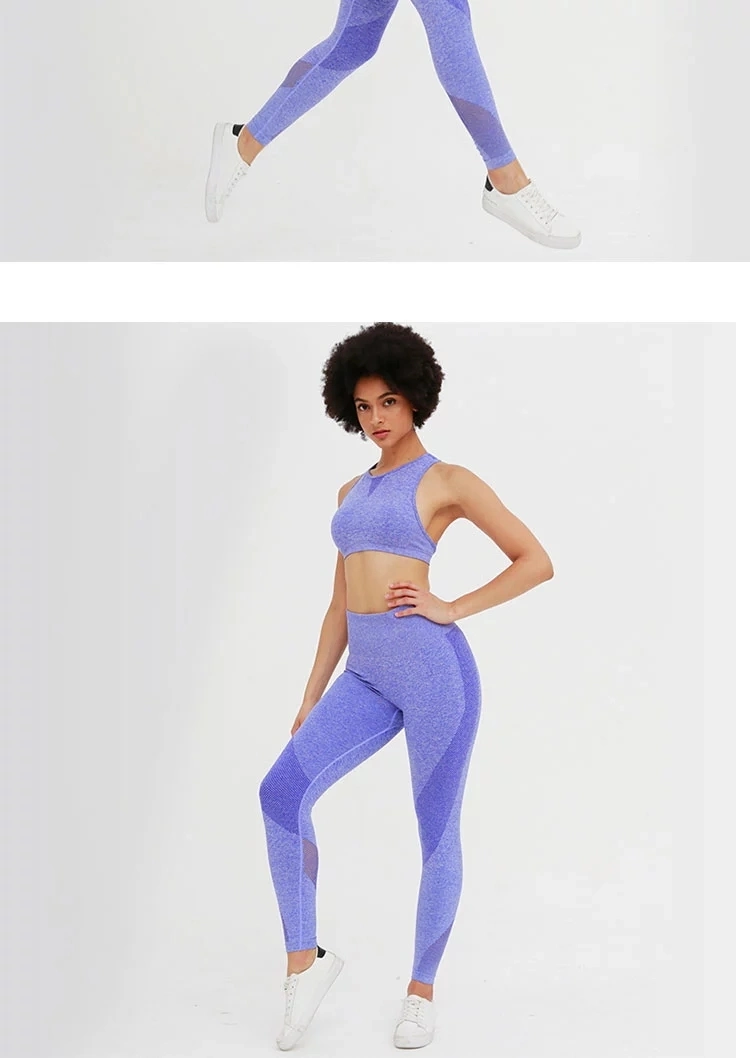 Wholesale Women Activewear Sexy Sport Fitness Clothing Sets Yoga Sports Wear Mesh Gym Yoga Wear