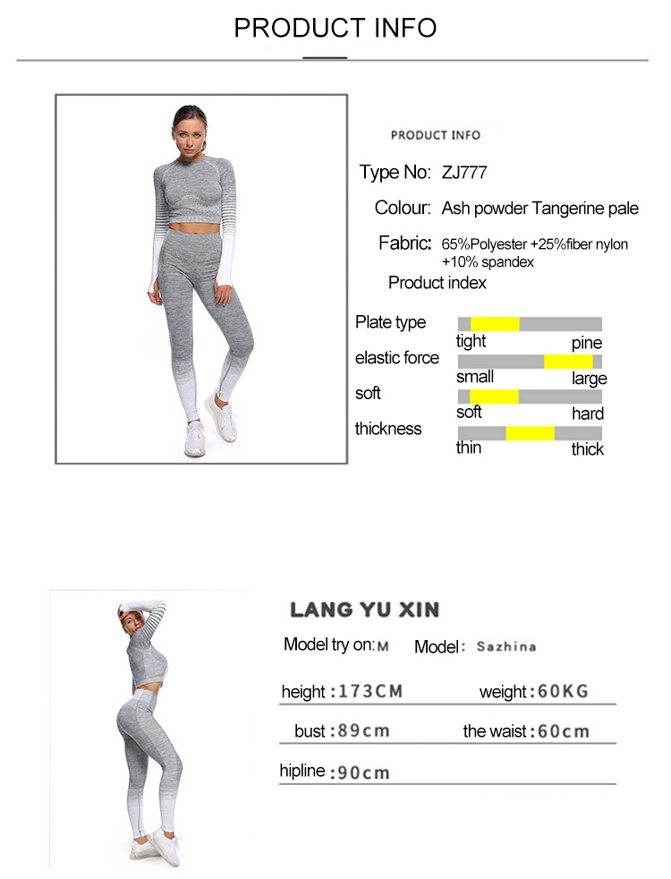 Seamless Long Sleeve Two Pieces Gym Workout Clothing Sports Custom Logo Yoga Wear Set