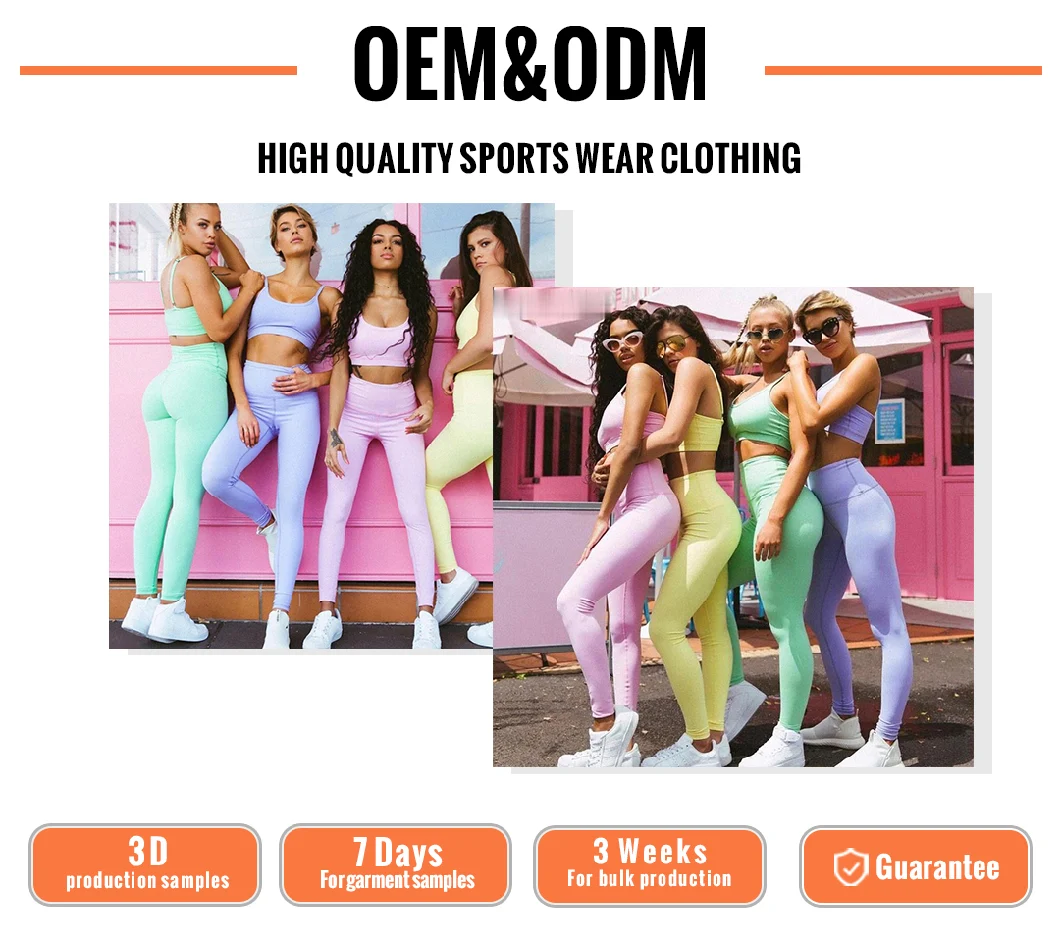 Hot Sale Women Mesh Bra Set and Sports Wear Sexy Print Sport Fitness Clothing Leggings Set