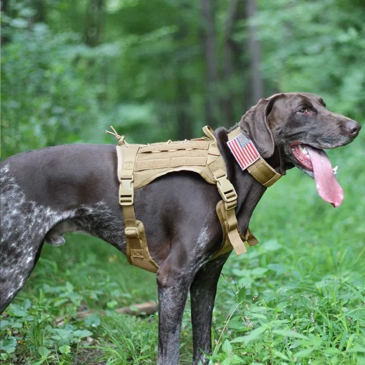 Tactical Military Dog Vest Harness for Dog Training