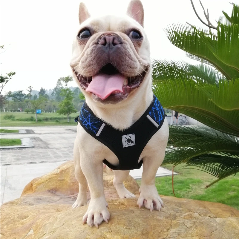 Pet Dog Harnesses Adjustable Safety Dog Training Walking Vest Harness Puppy Harness